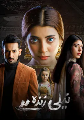 Ary Special Stream