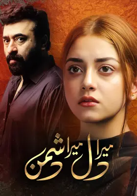 Ary Special Stream
